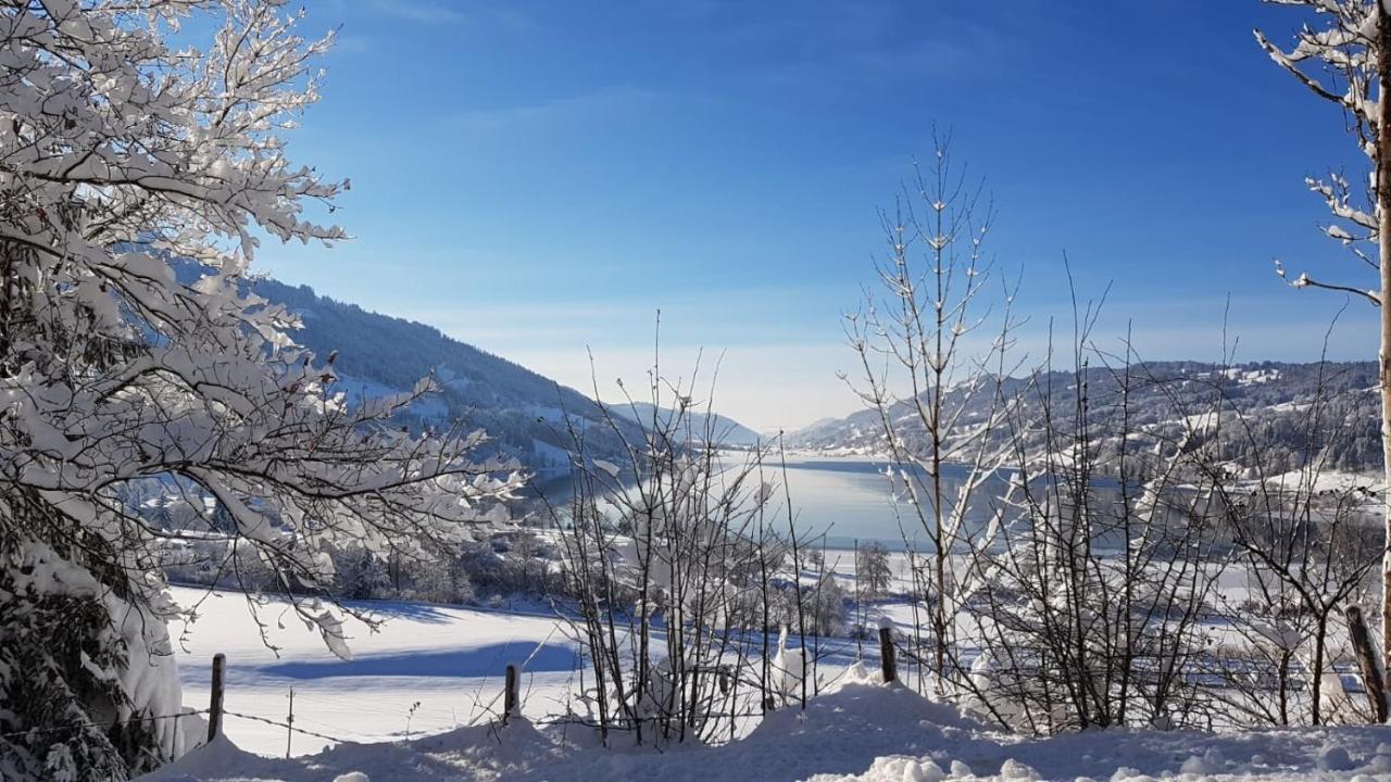 Ferienwohnung Fanny Am See Immenstadt im Allgau Bagian luar foto